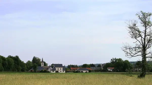 Monte Escalier Pratique Monte escalier Allier