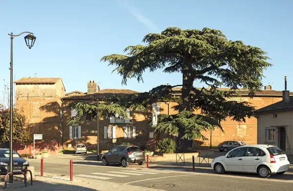 Monte Escalier Pratique Monte escalier Aussonne