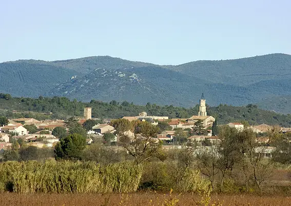 Monte Escalier Pratique Monte escalier Cazouls-lès-Béziers