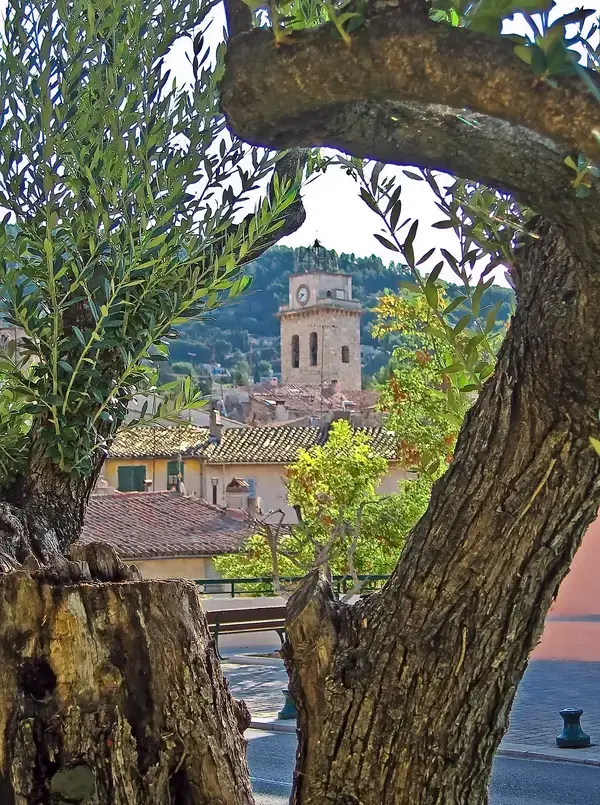 Monte Escalier Pratique Monte escalier Ceyreste