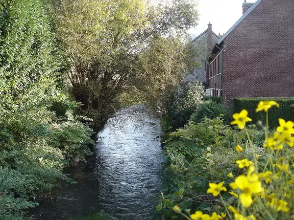 Monte Escalier Pratique Monte escalier Déville-lès-Rouen
