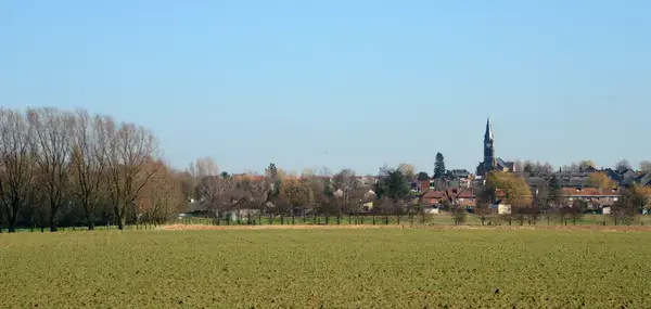 Monte Escalier Pratique Monte escalier Halluin