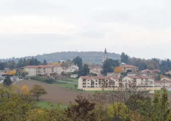 Monte Escalier Pratique Monte escalier Lentilly