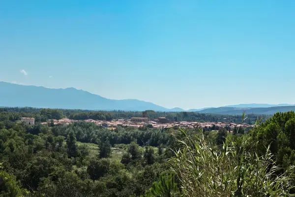 Monte Escalier Pratique Monte escalier Millas