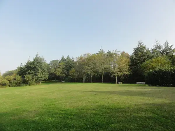 Monte Escalier Pratique Monte escalier Montigny-en-Gohelle