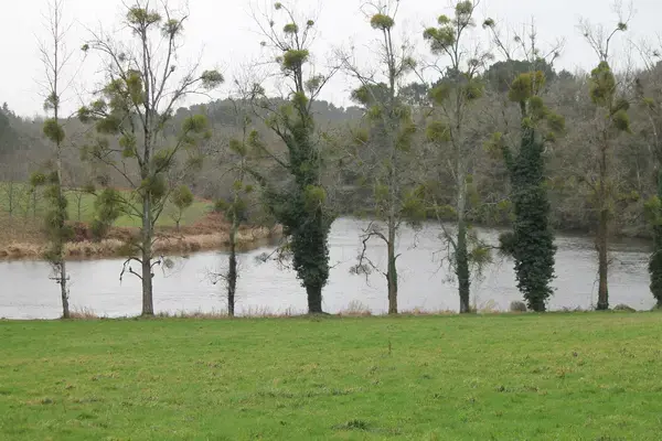 Monte Escalier Pratique Monte escalier Muzillac