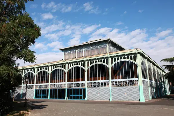 Monte Escalier Pratique Monte escalier Nogent-sur-Marne