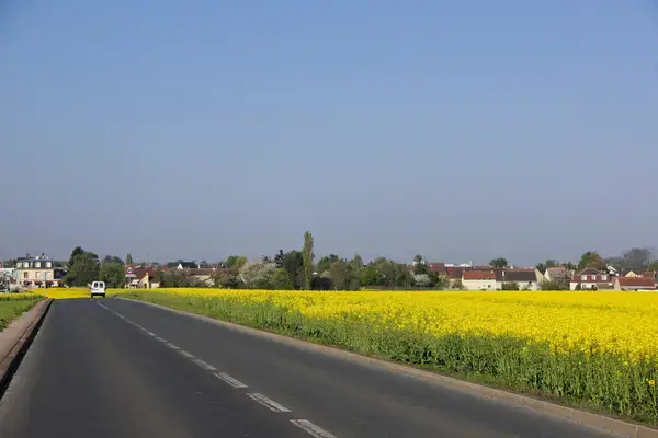 Monte Escalier Pratique Monte escalier Noiseau