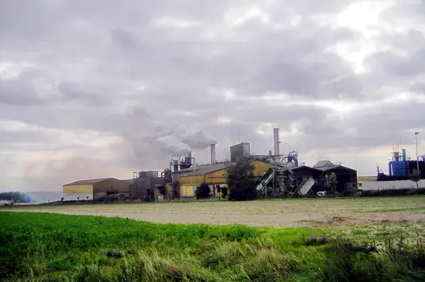 Monte Escalier Pratique Monte escalier Ormes