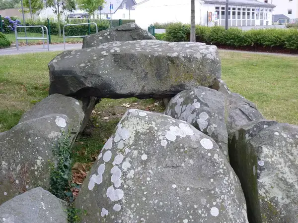 Monte Escalier Pratique Monte escalier Ploufragan