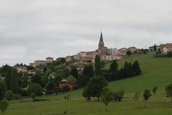 Monte Escalier Pratique Monte escalier Saint-Christo-en-Jarez
