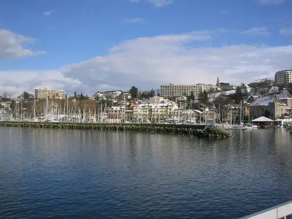 Monte Escalier Pratique Monte escalier Thonon-les-Bains