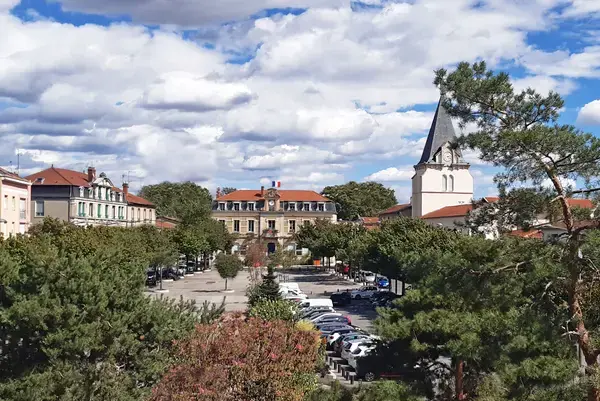 Monte Escalier Pratique Monte escalier Vénissieux